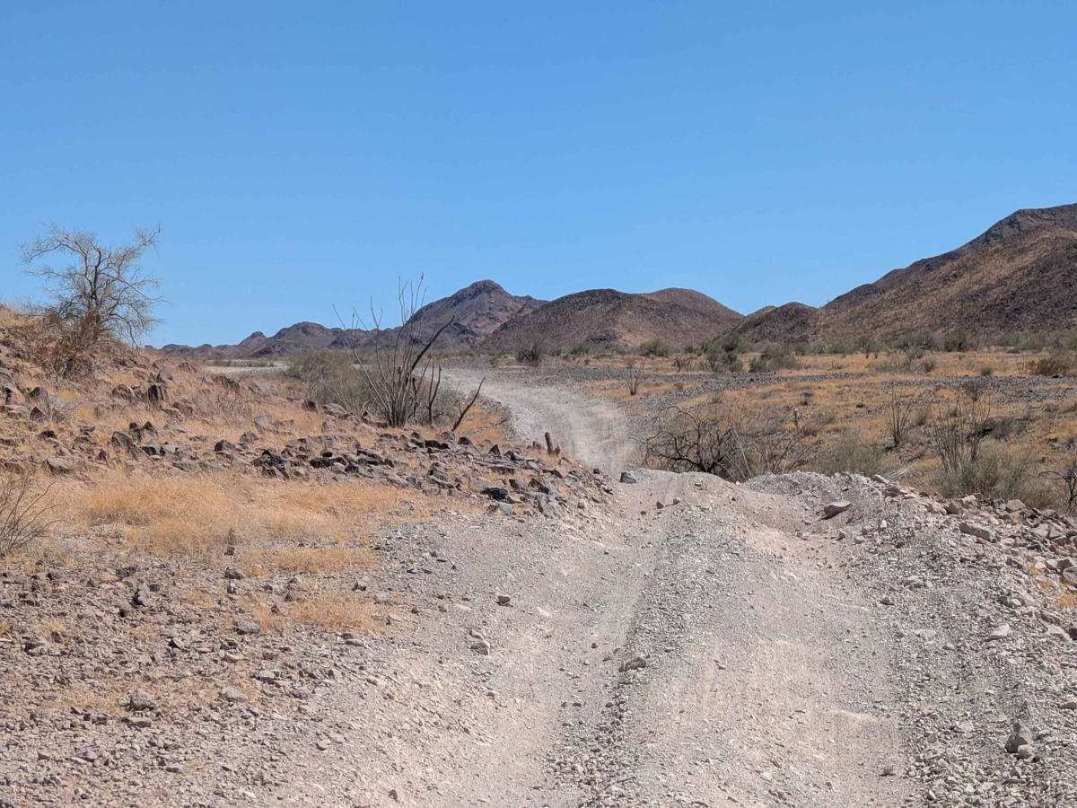 Bosque de Ocotillos photo 3