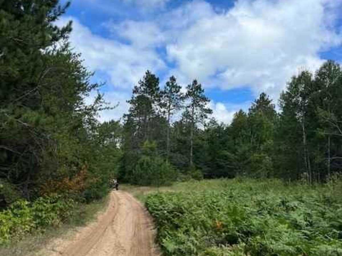 Wilderness Road photo 3