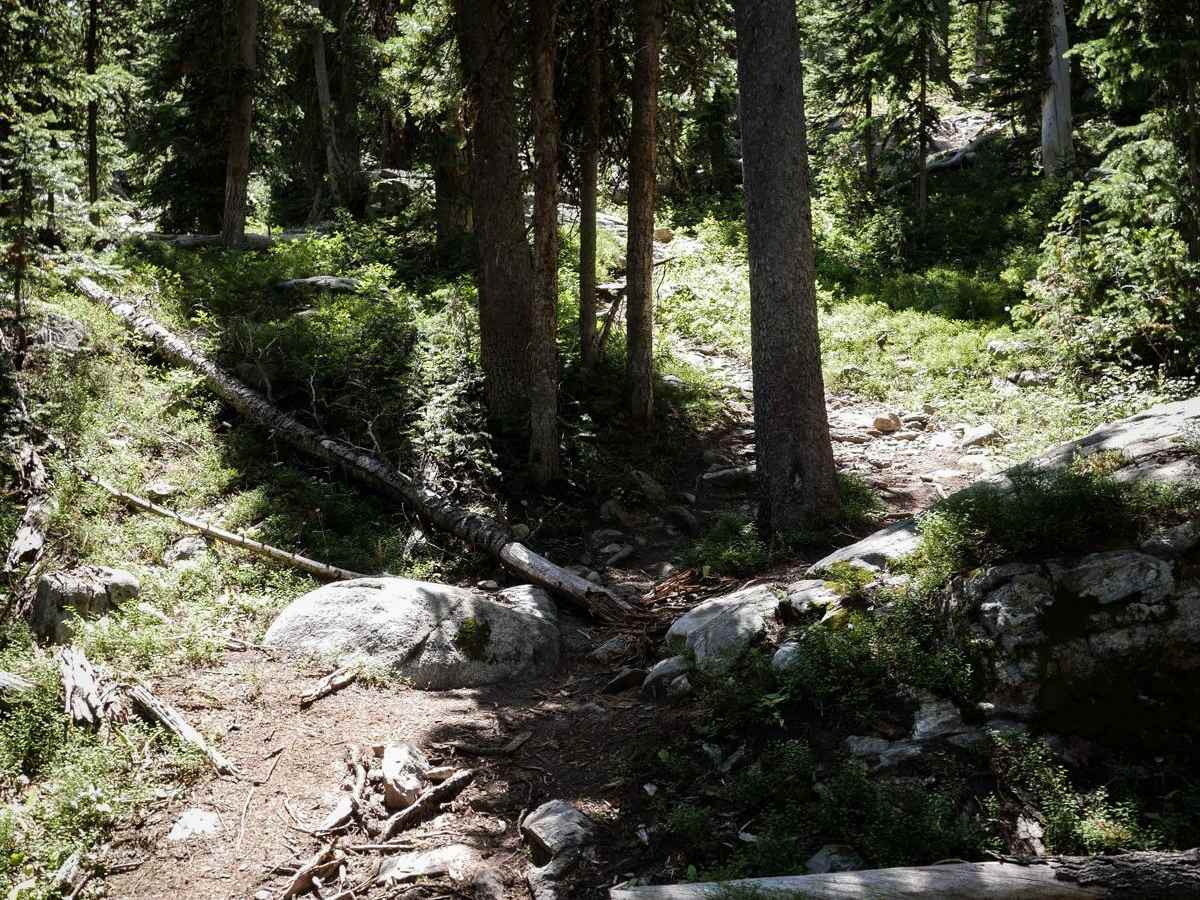 Hidden Lakes ATV #179 - Extreme Difficulty Section photo 6