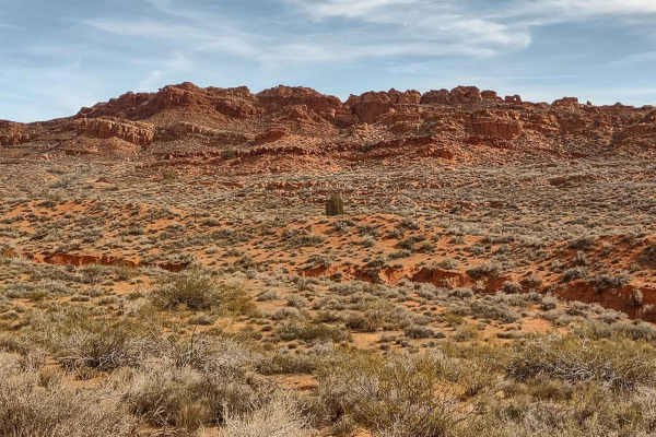 Backdoor to Babylon Trail