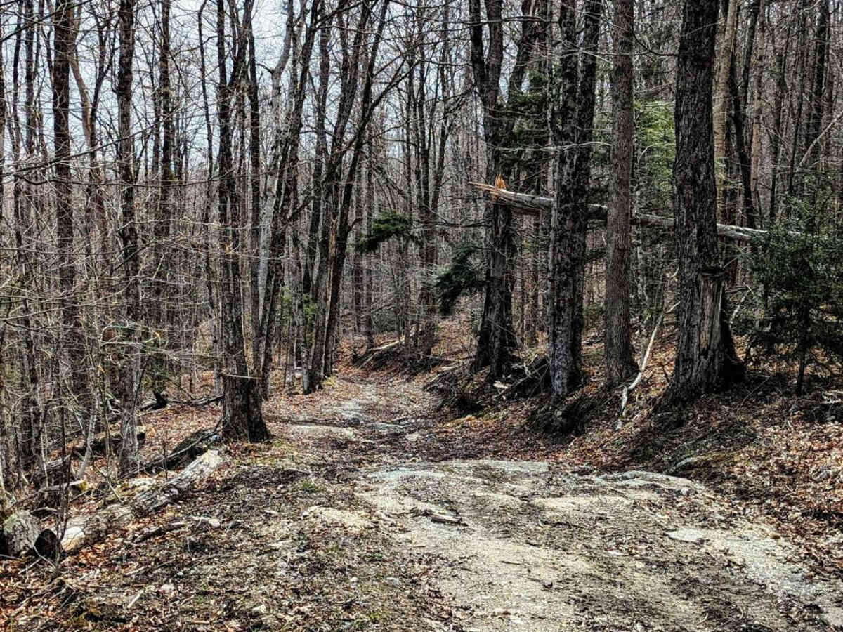 Brown Road photo 5