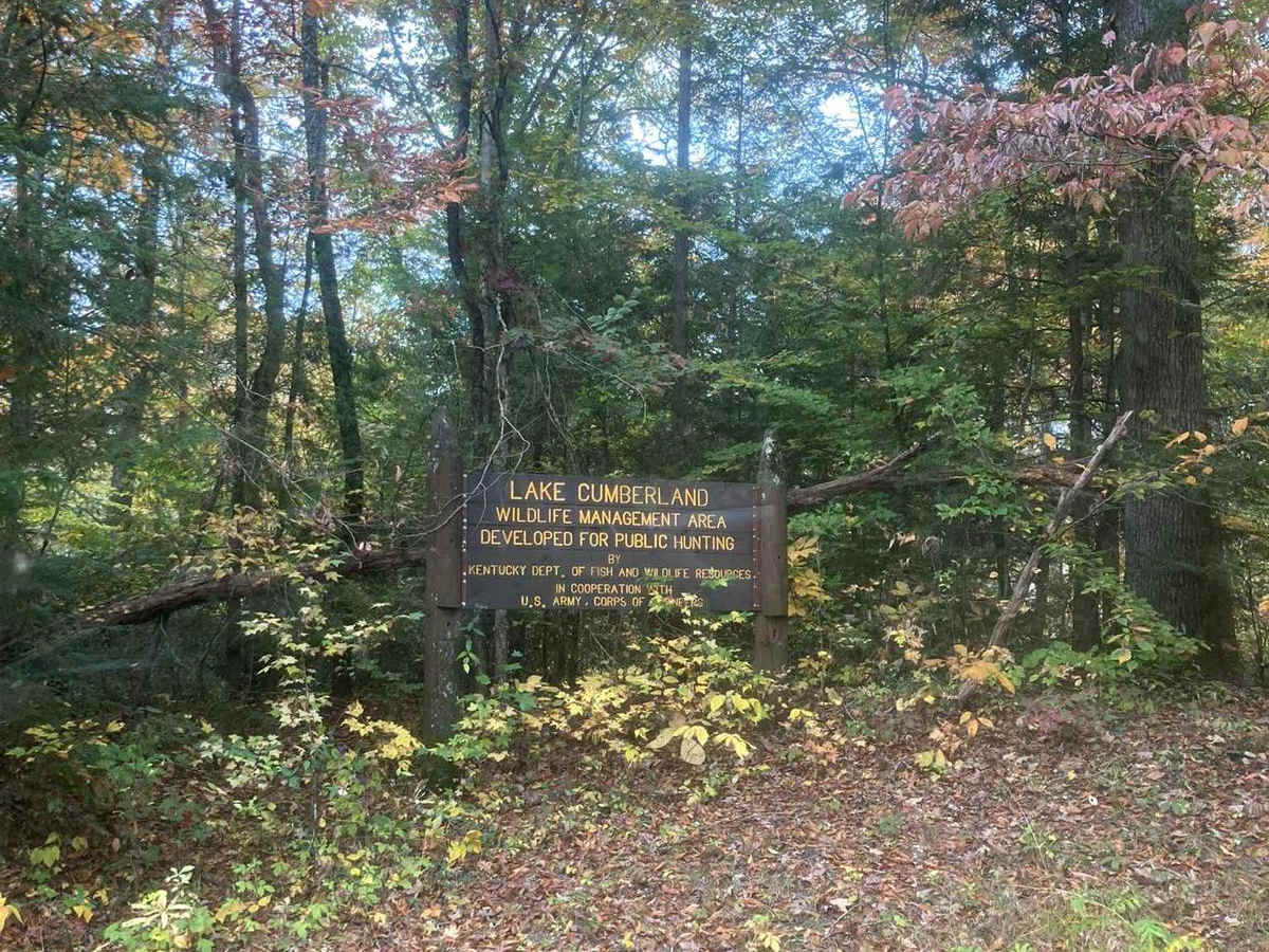 Oil Center WMA Main Via Ringgold Road photo 2