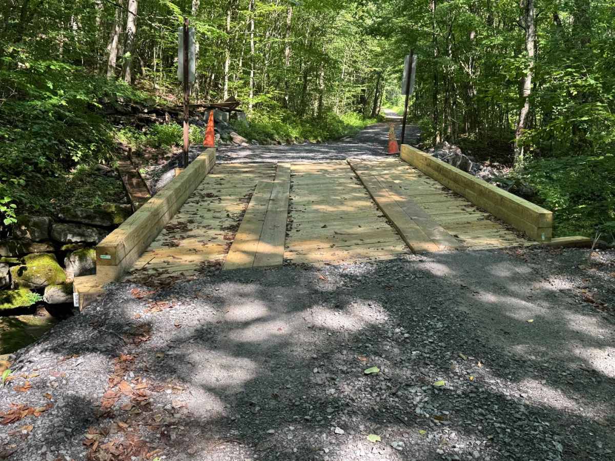 Shin Creek Road trail photo