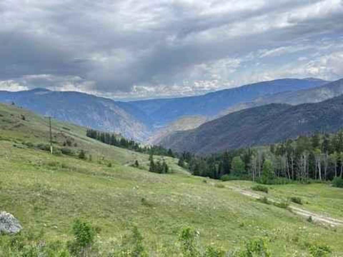 Stirling Creek/Old Joe FSR photo 6