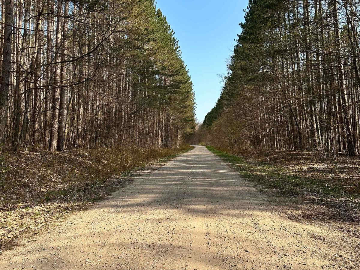 Cadillac Area ORV/OHV Scenic Ride - Part 8 photo 6
