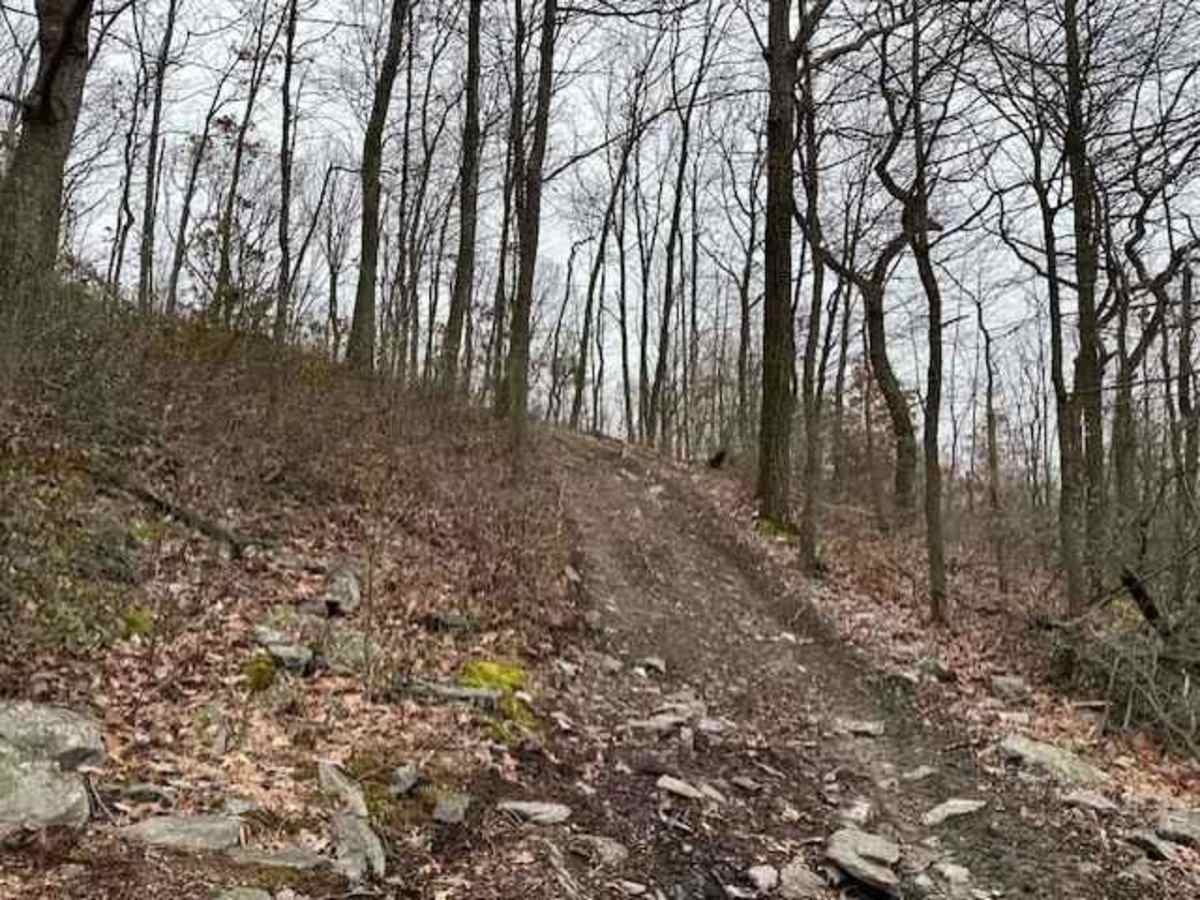 Darkwater 56 photo 4