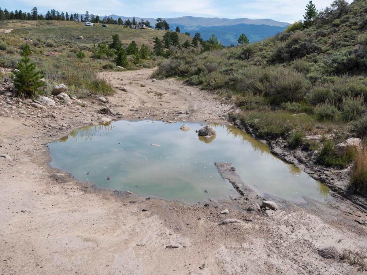 Twin Lakes Dispersed Camping Area - FR 125.D photo 3