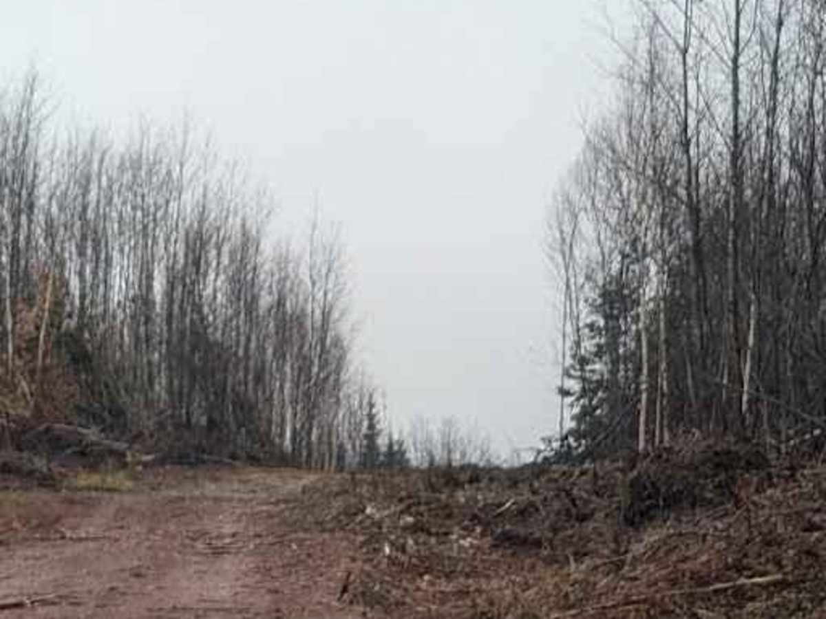 Claudie Pit Backroad photo 4