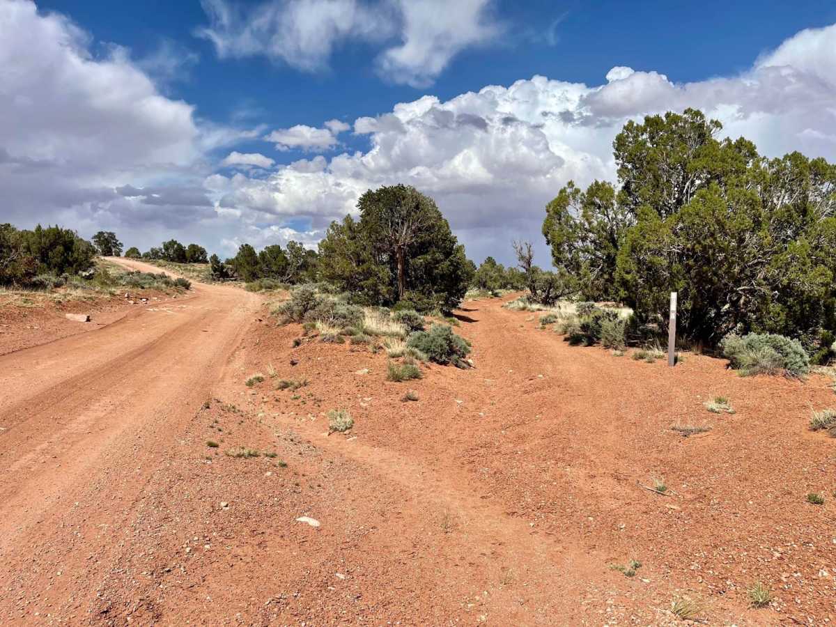 Buffalo Ranch Cutover 632a photo 2