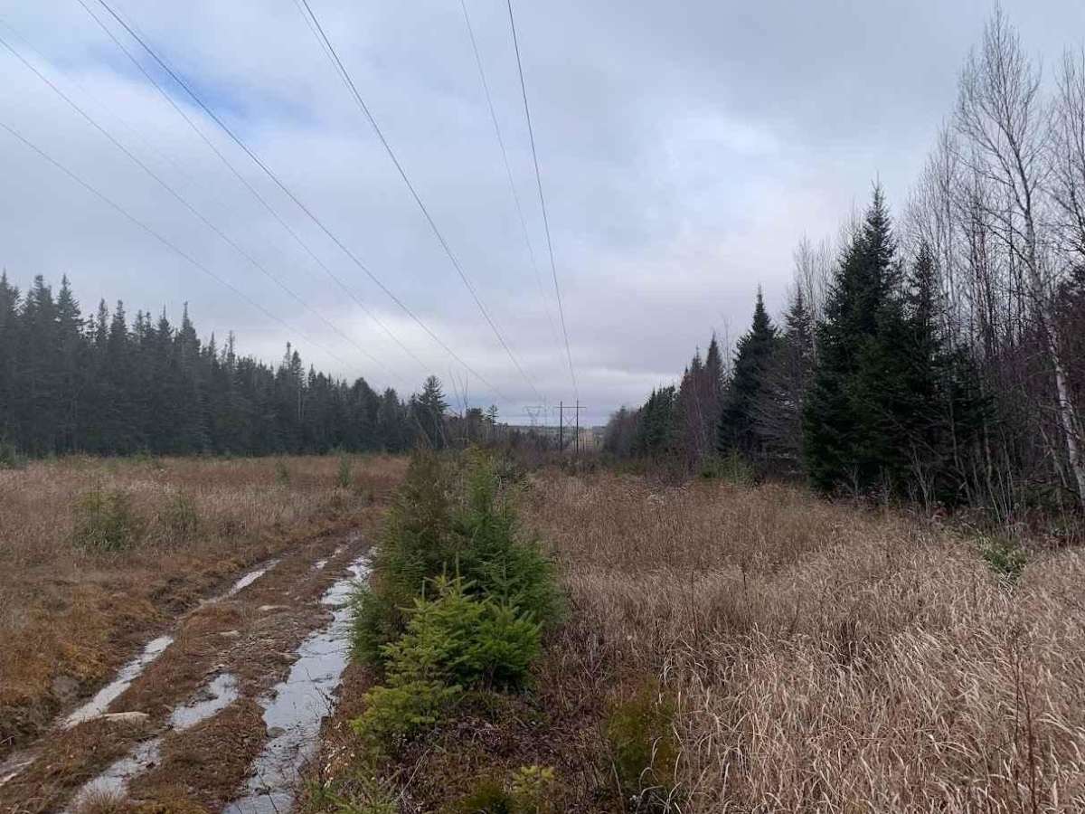 Pioneer Street Hydro Line trail photo