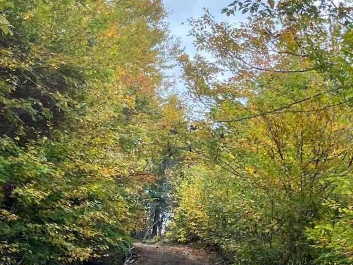 Cape Mabou Road photo 3