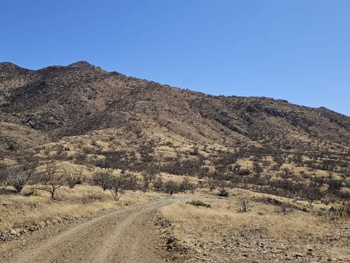 Palomas Mesa trail photo