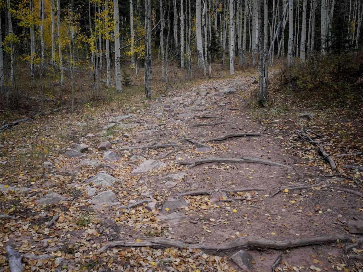 Mule Mountain trail photo