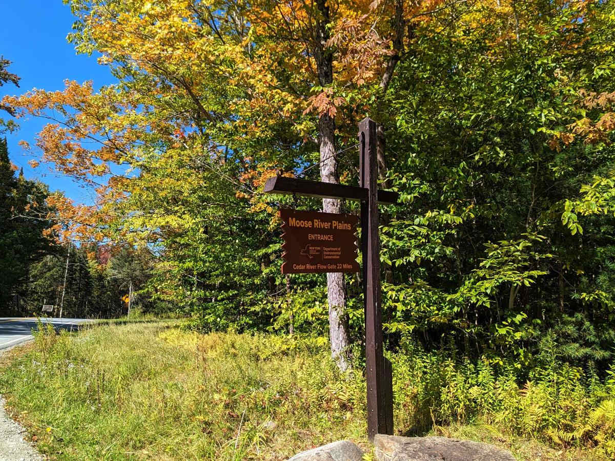 Moose River Plains photo 2