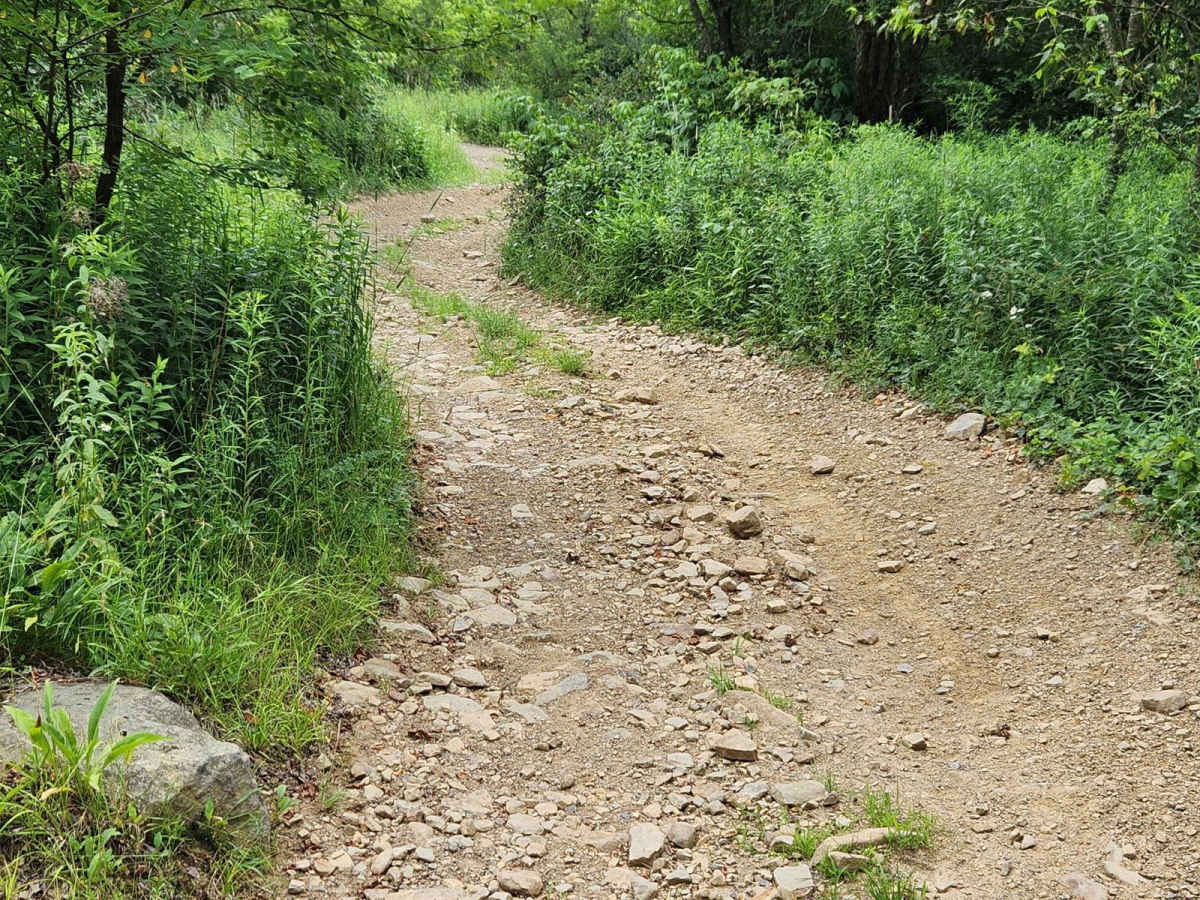 Trail 10A - Rock Run Recreation Area photo 4