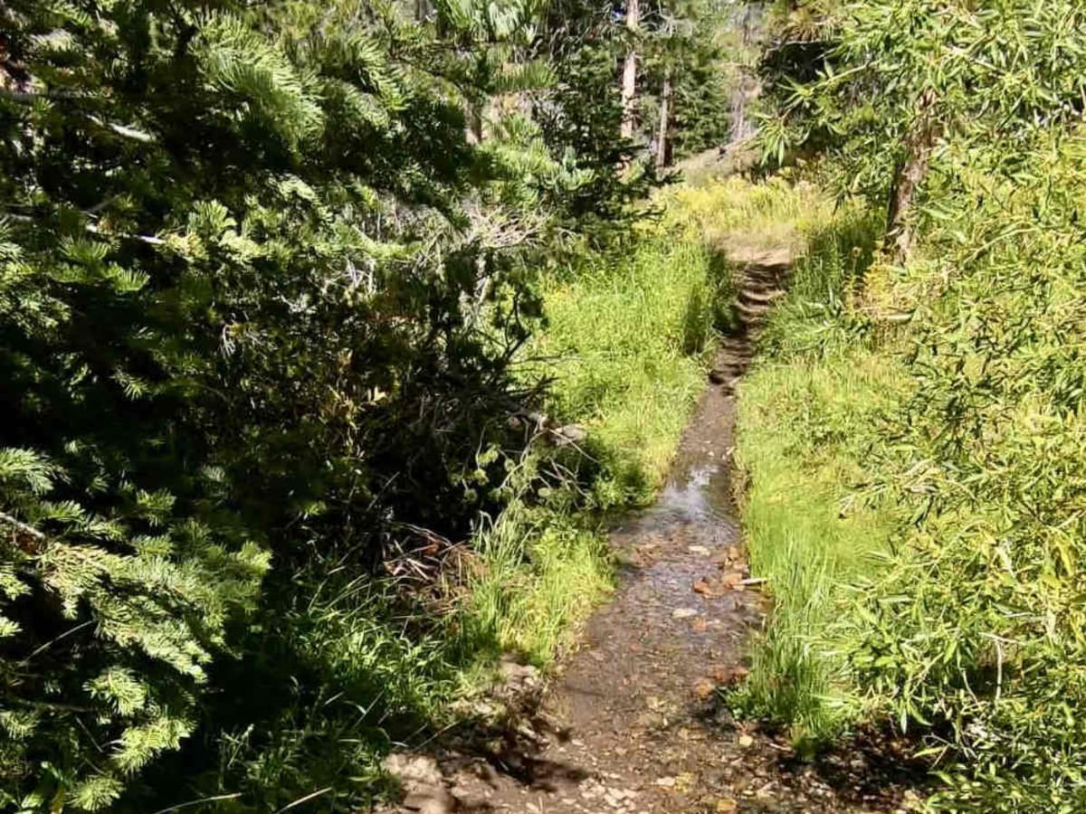 Rattlesnake Creek photo 4