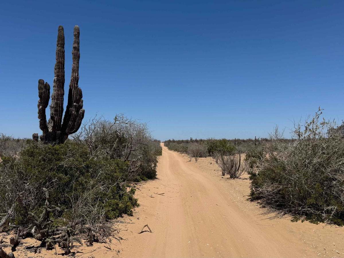 El Florida Connection trail photo