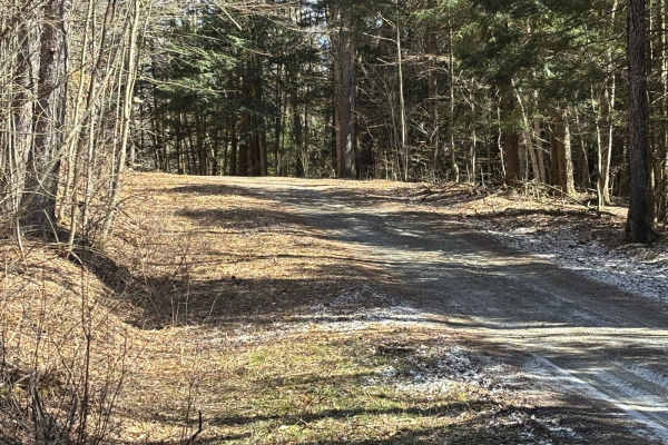 Freeman Rd