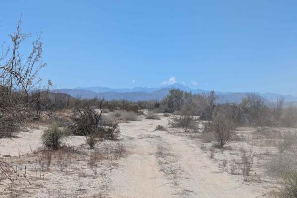 Afloramiento de Ocotillo