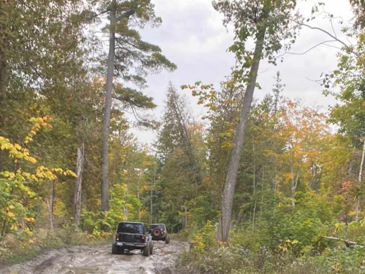 Jeep Route 9995183 photo 3