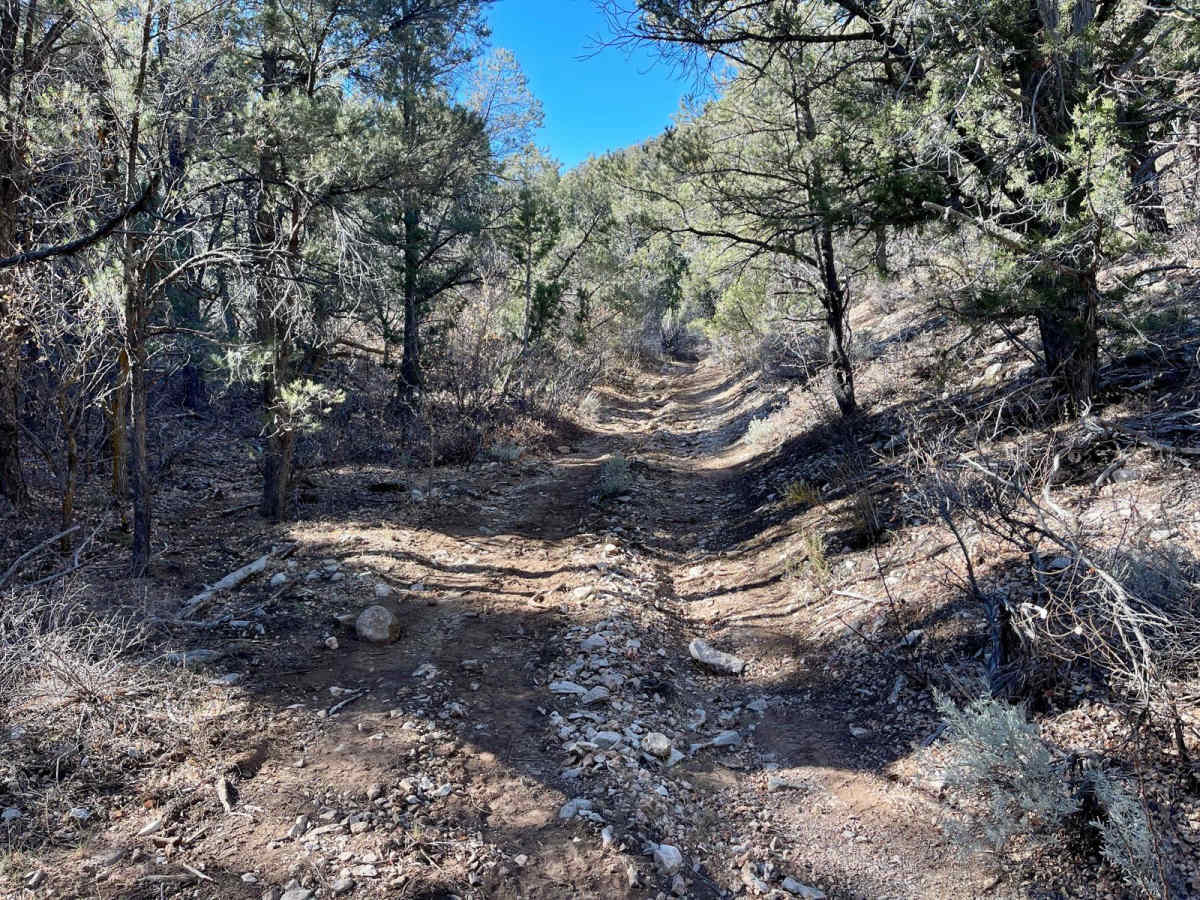 1071K Last Chance Lookout photo 5
