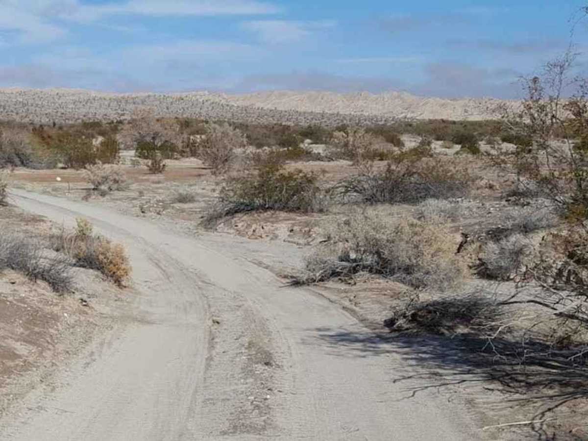 Carrizo Canyon photo 6