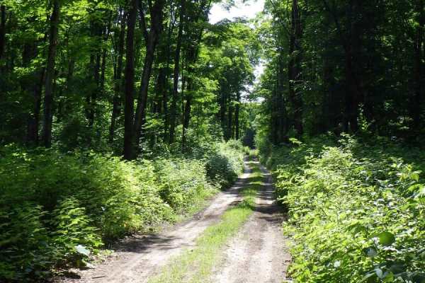 East Sawmill Route