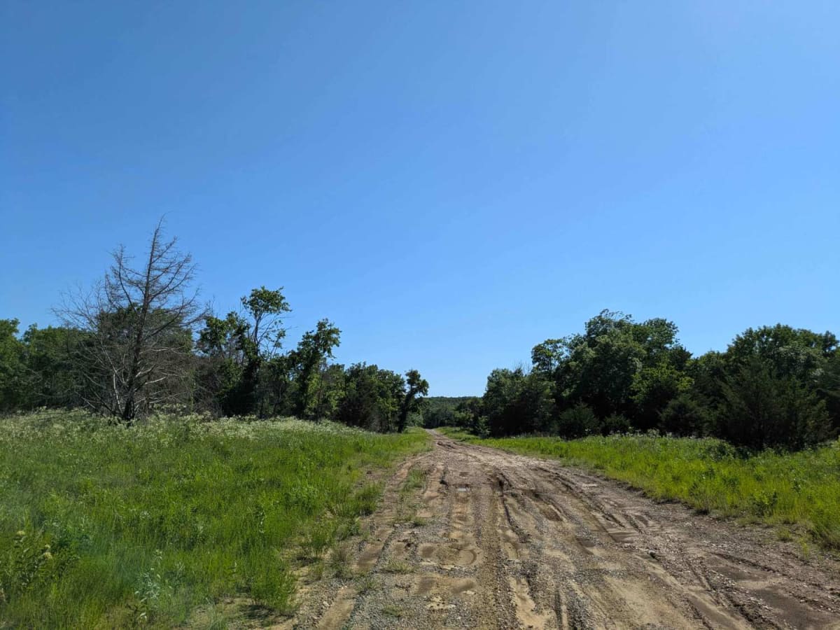 Wild Horse trail photo