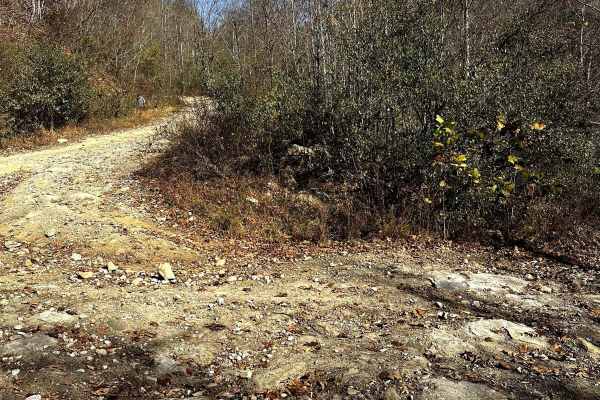 Trail 10