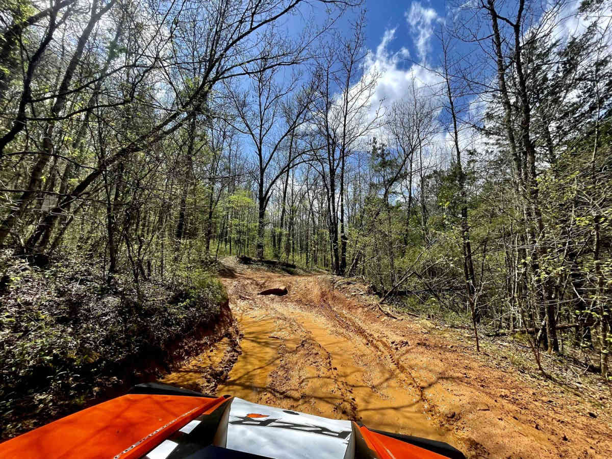 Mill Creek Blue Loop photo 6