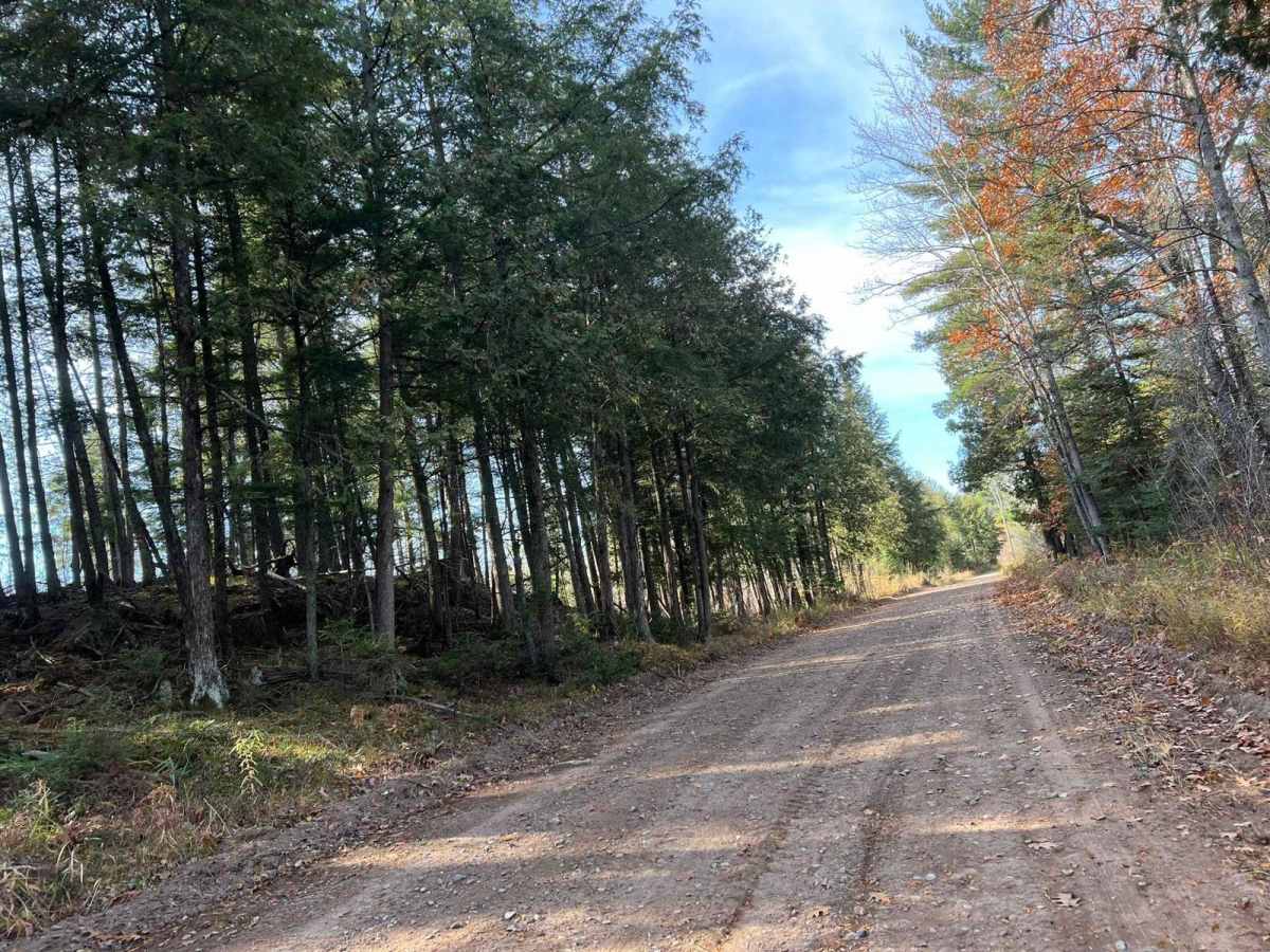 Pembine North Loop Trail 3 photo 6