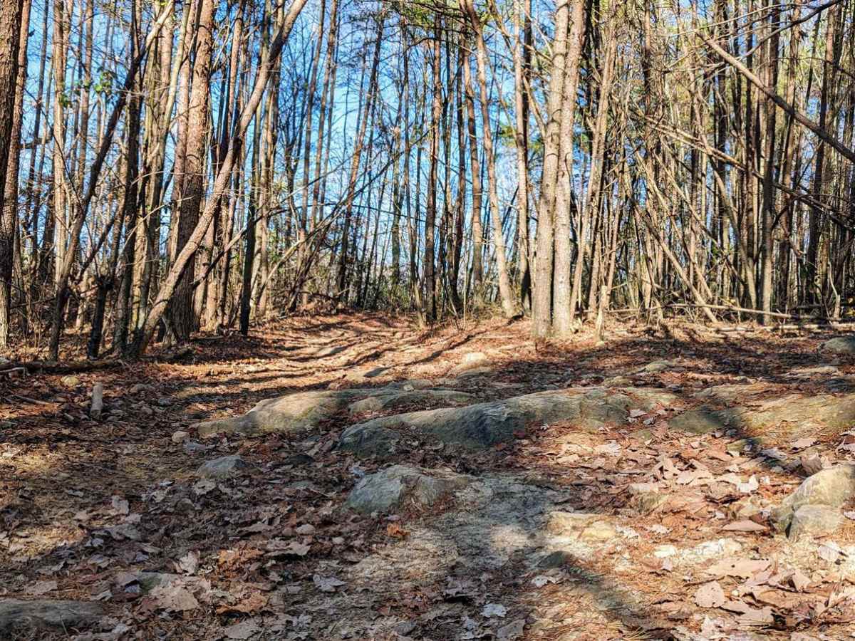 Walden's Ridge Bypass Trail 75a photo 4