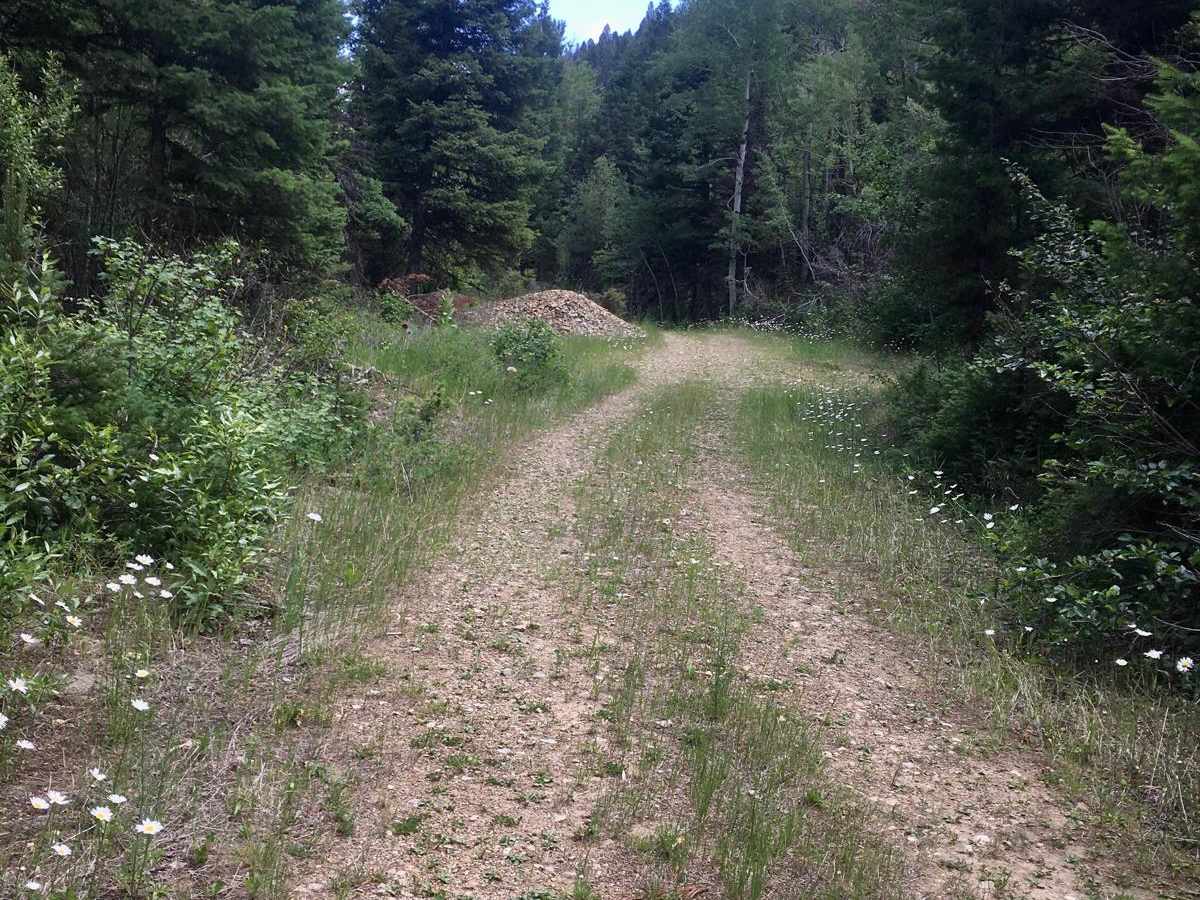 Lincoln Gulch Road photo 5