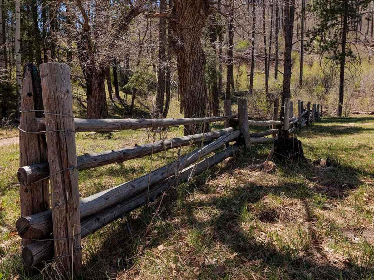 Bear Canyon Rd-FS 855 A trail photo