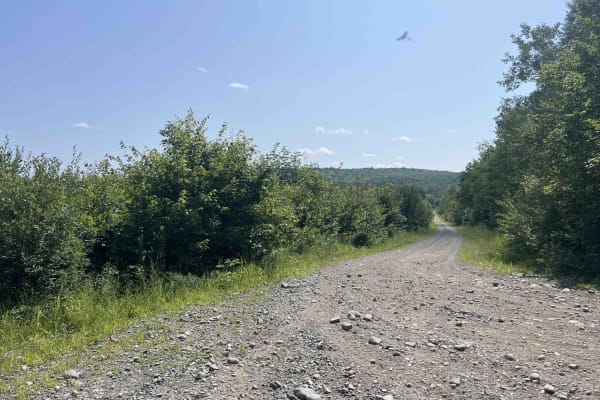 Overlook Trail