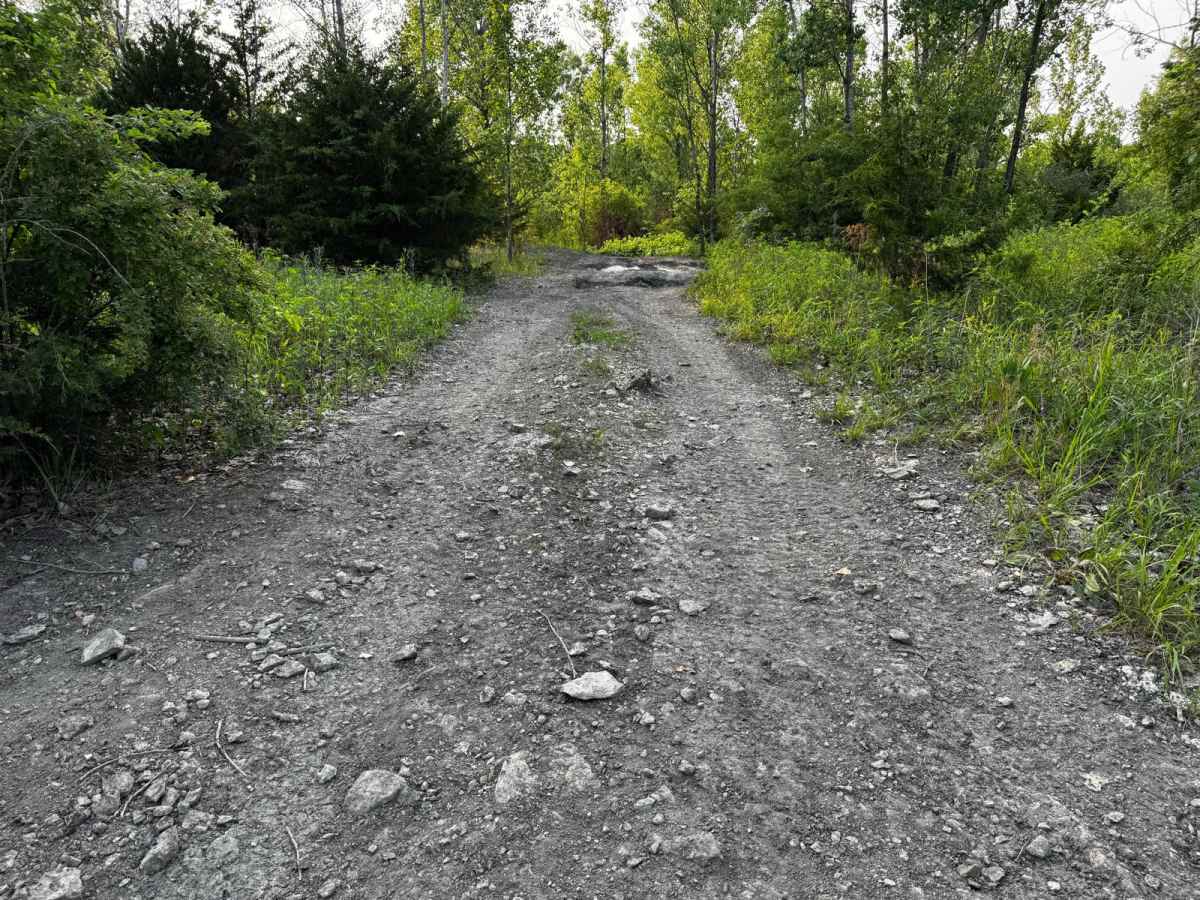 Green 146 trail photo