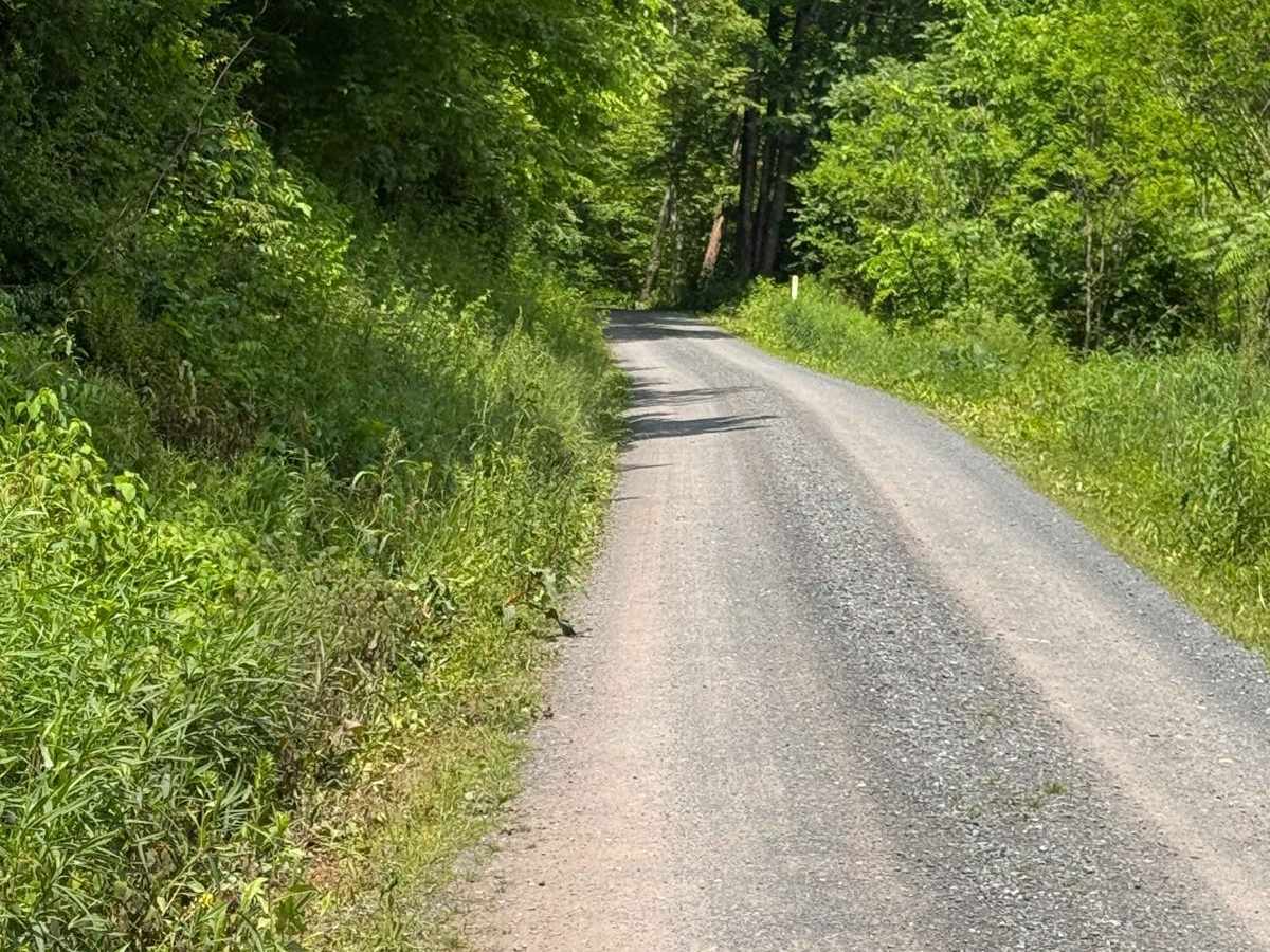 Hyner Run Road photo 4