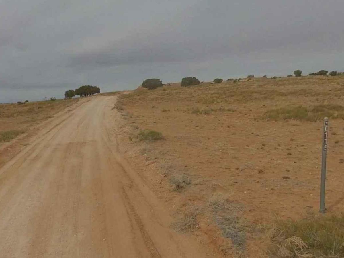 Oil Well Road photo 4
