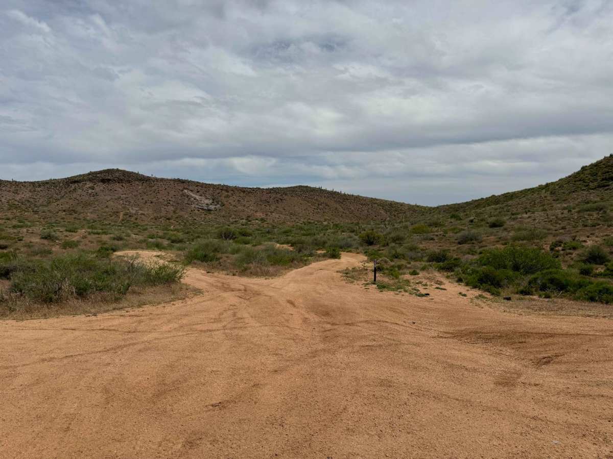 Trail 388 Connector photo 5