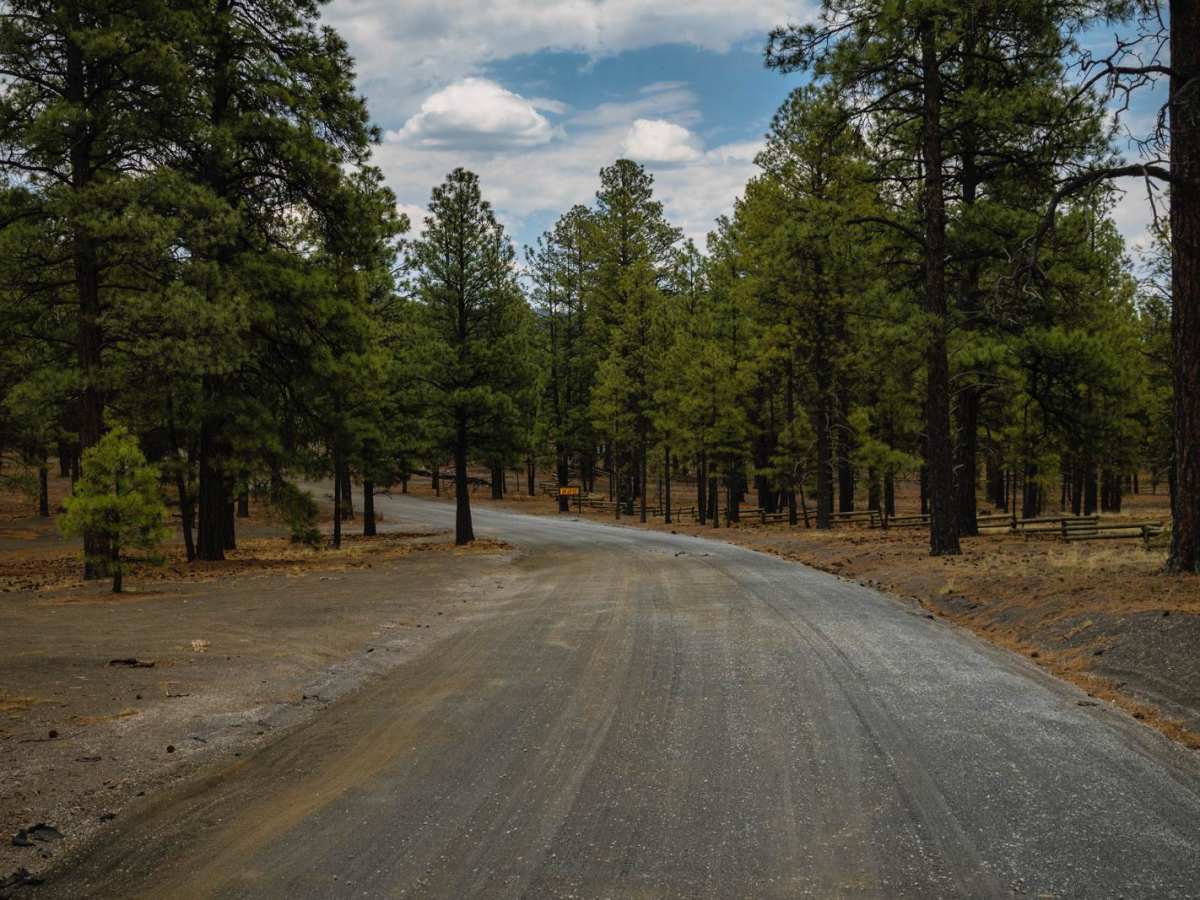 Cinder Hills OHV Area / 776 photo 3