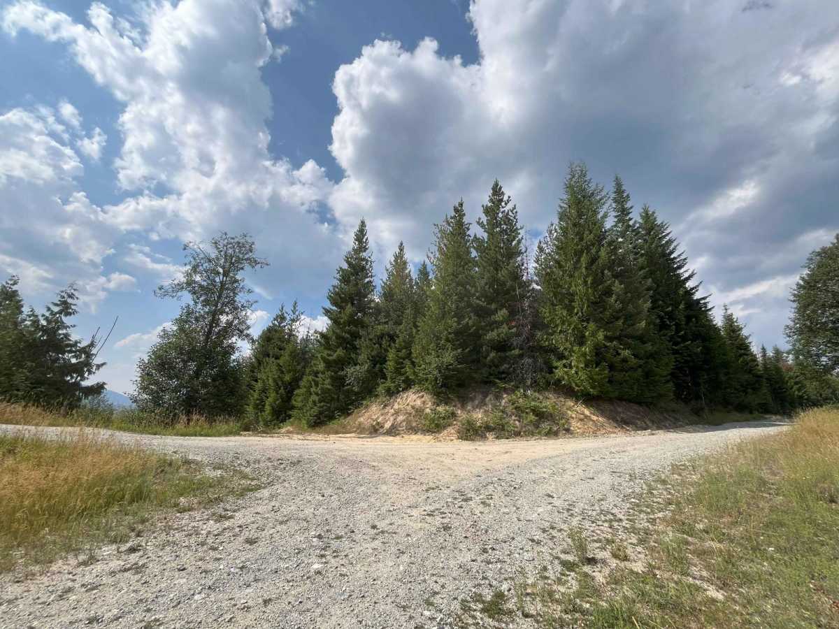 Little Meadow Creek Road photo 6