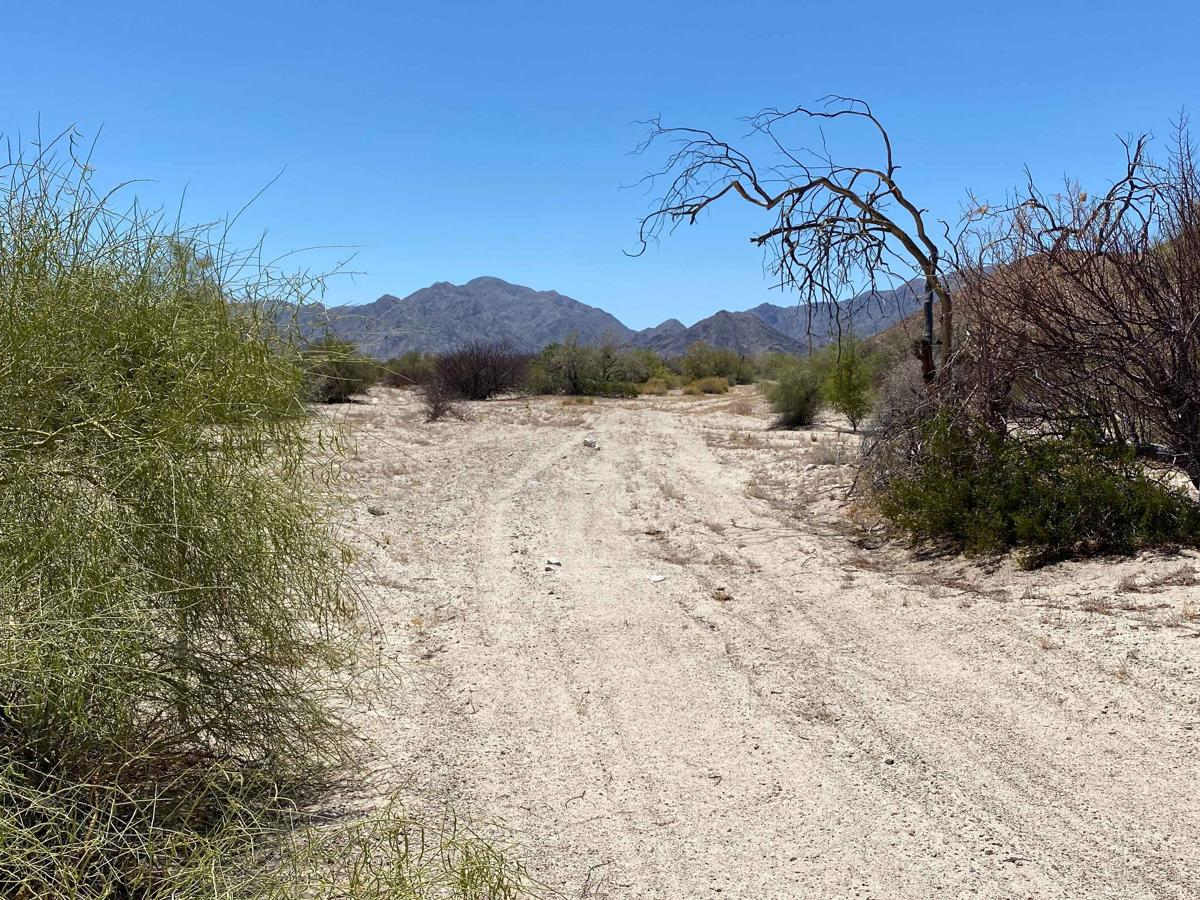 Base of the Los Cuevitas Range and Back photo 4