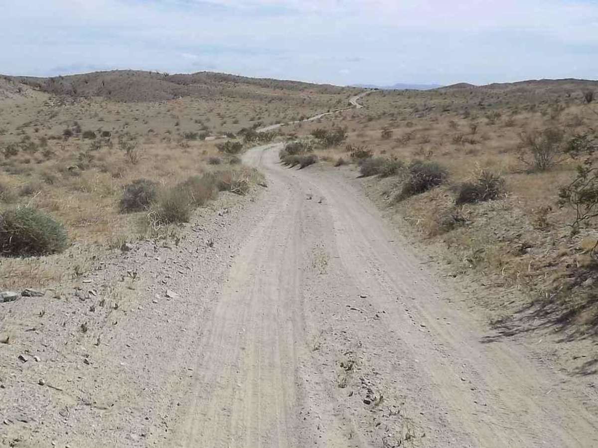 Thimble Trail photo 6