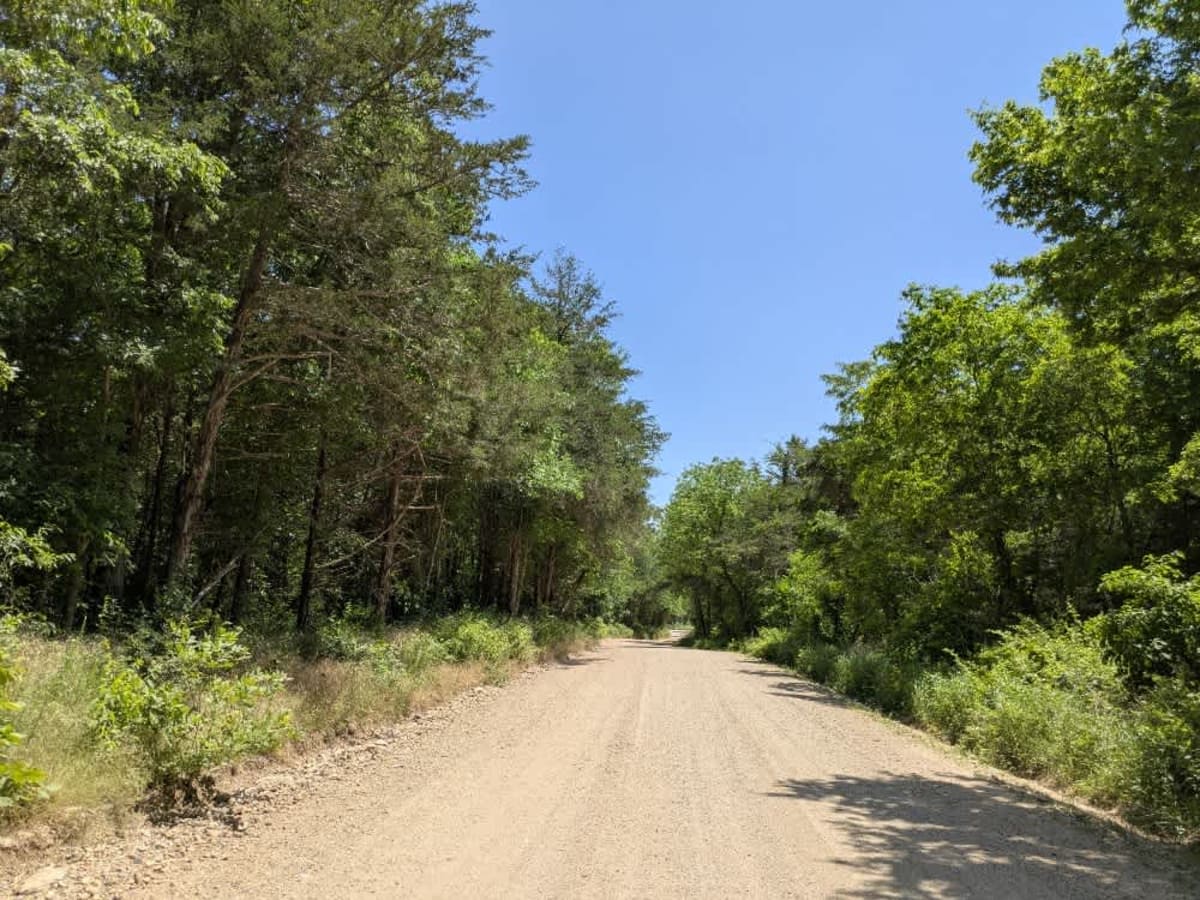 North 387 photo 2