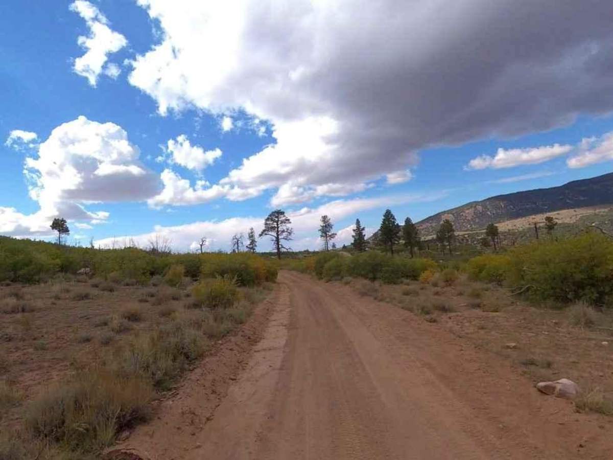 The Horn Road-BLM14000 photo 5