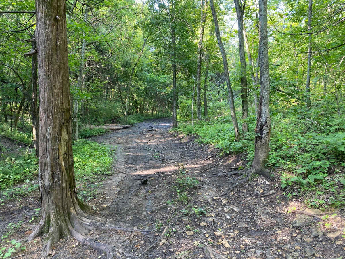 Grease Hill photo 3
