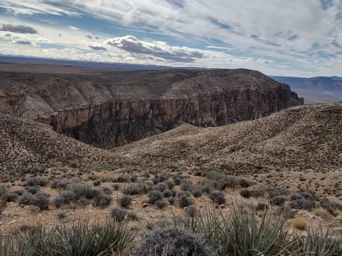 Yucca Way Spur trail photo