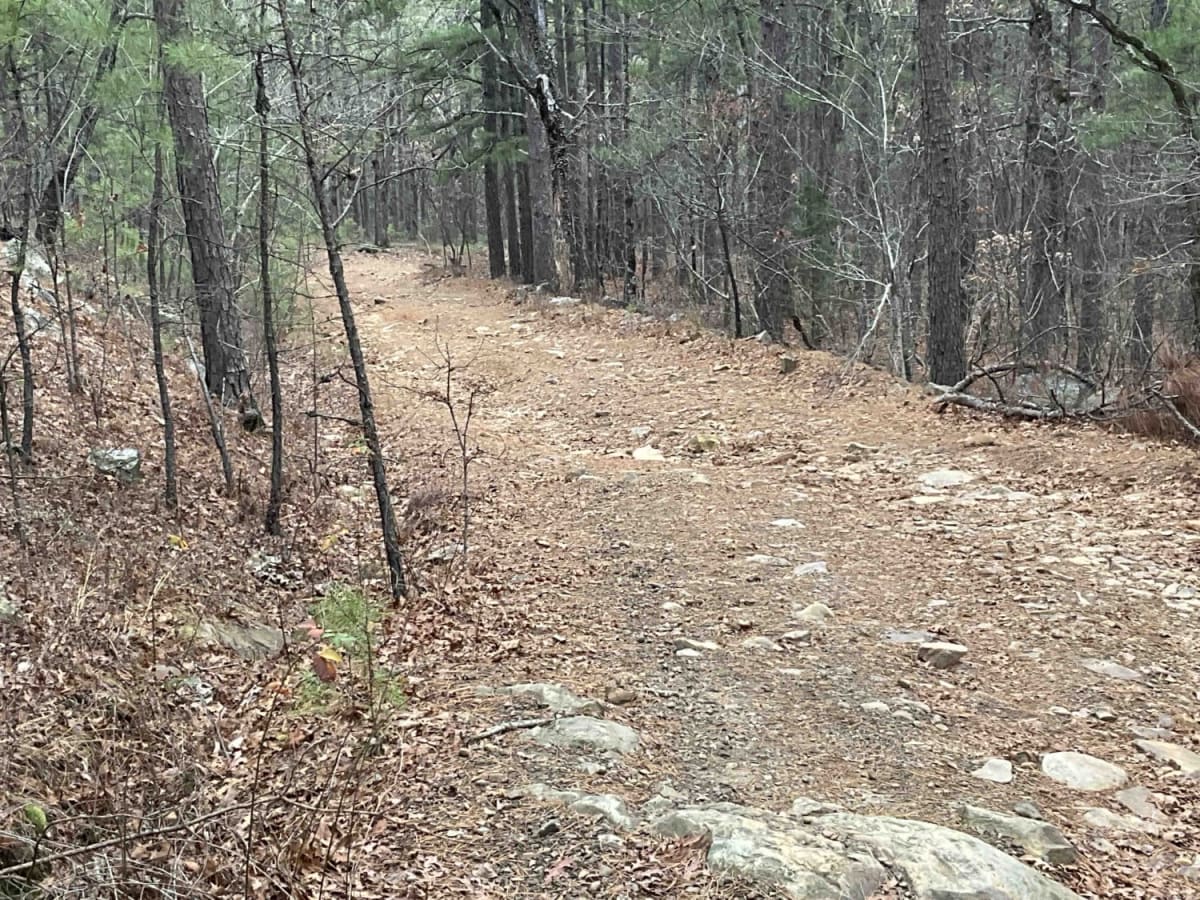 Goldville Trail photo 3