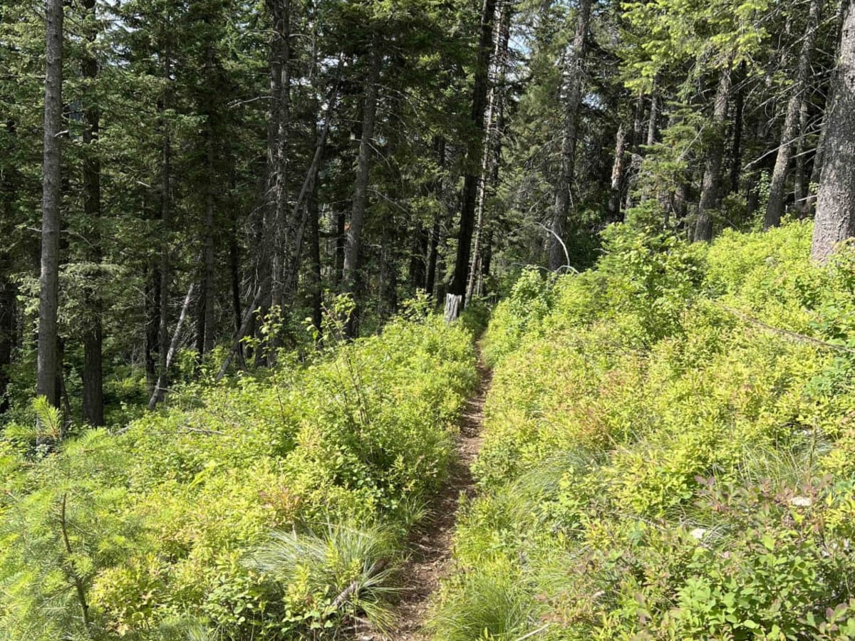 Jewel Gulch photo 5