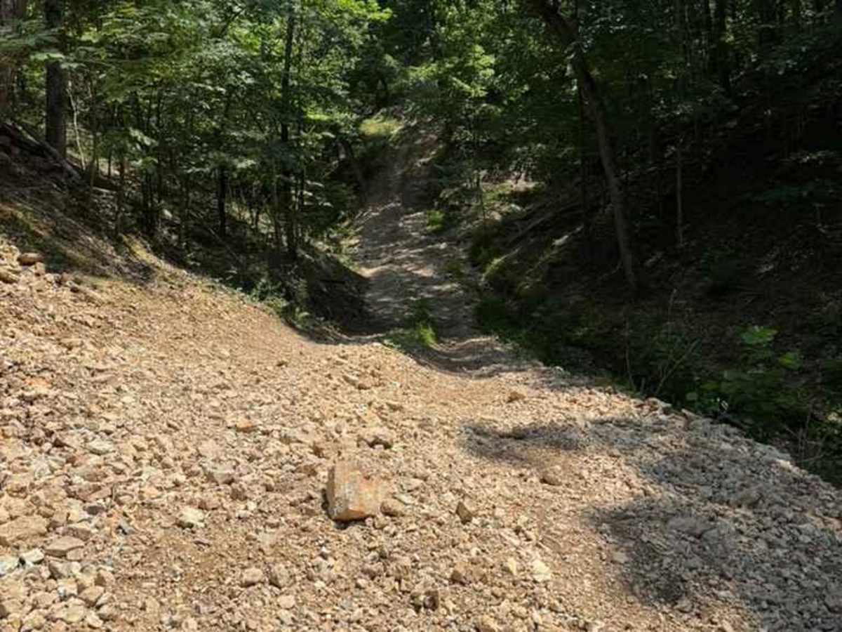 Abby's Trail trail photo